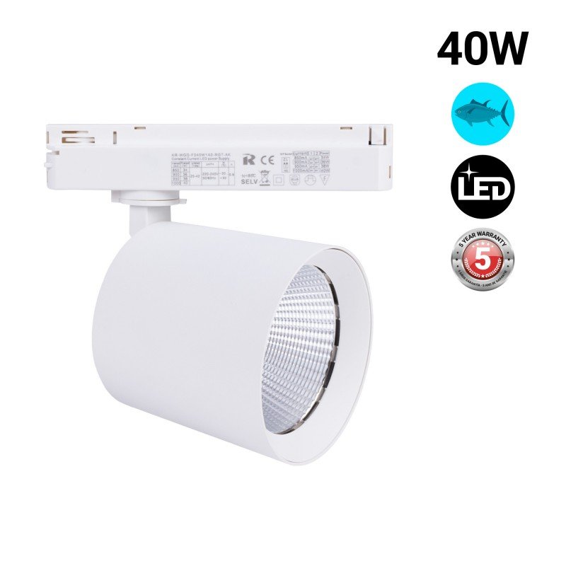 Spot LED monophasé 40W - Poissons et fruits de mer