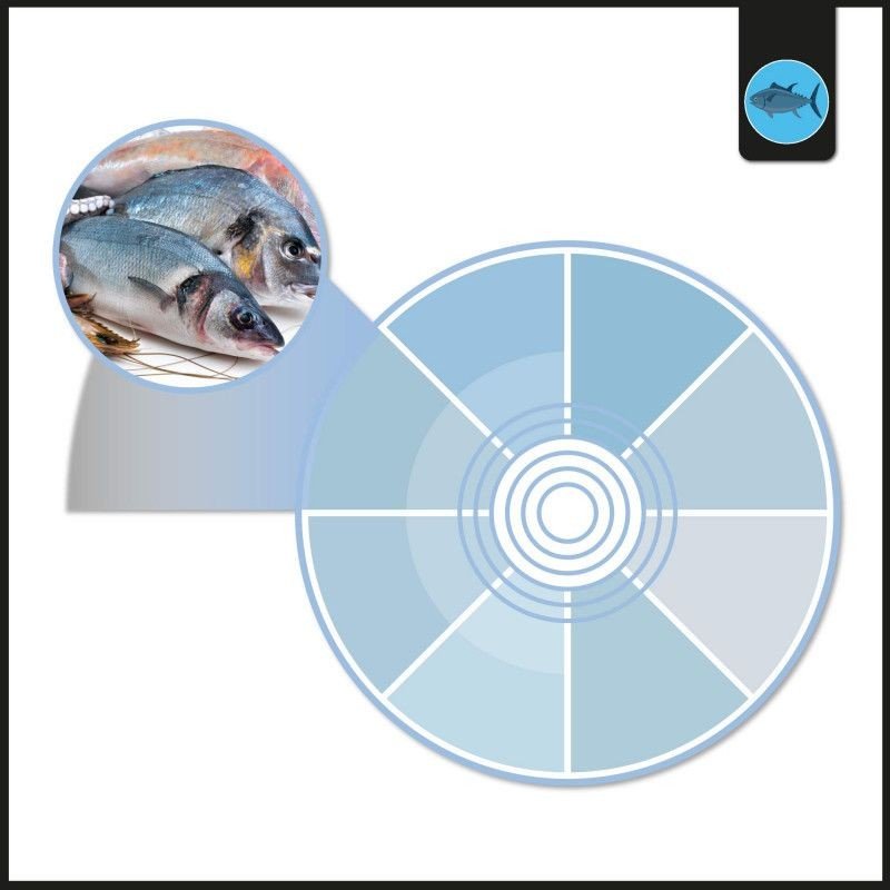 Spot LED monophasé 40W - Poissons et fruits de mer