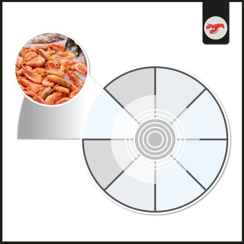 Spot LED monophasé 40W - Poissons et fruits de mer