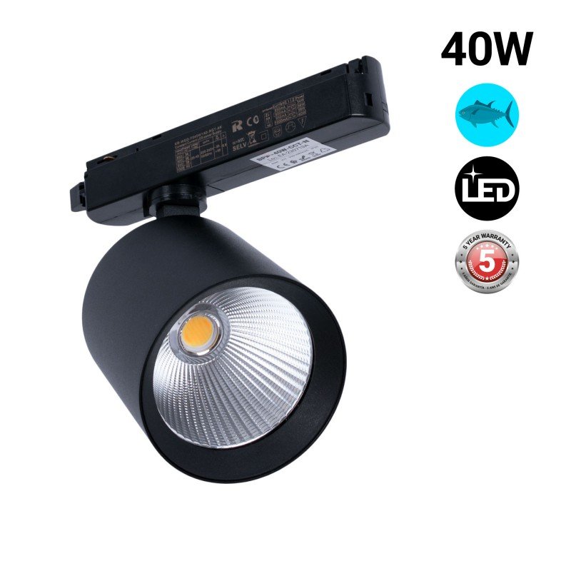 Spot LED monophasé 40W - Poissons et fruits de mer