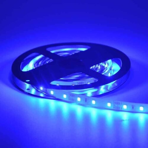 Ruban LED 12V 5m – 50W Haute Performance – IP20 – Bleu