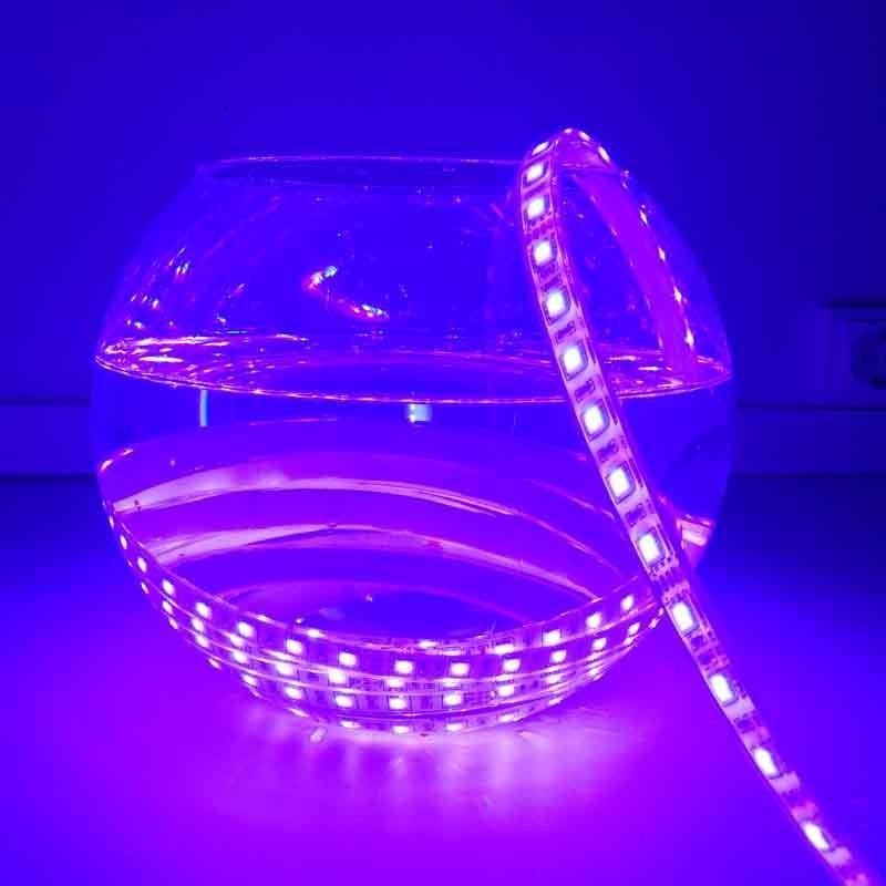 Ruban LED RGB 24V 72W – IP67 Professionnel – Extérieur 7 Ruban LED RGB 24V 72W – IP67 Professionnel – Extérieur – Image 7