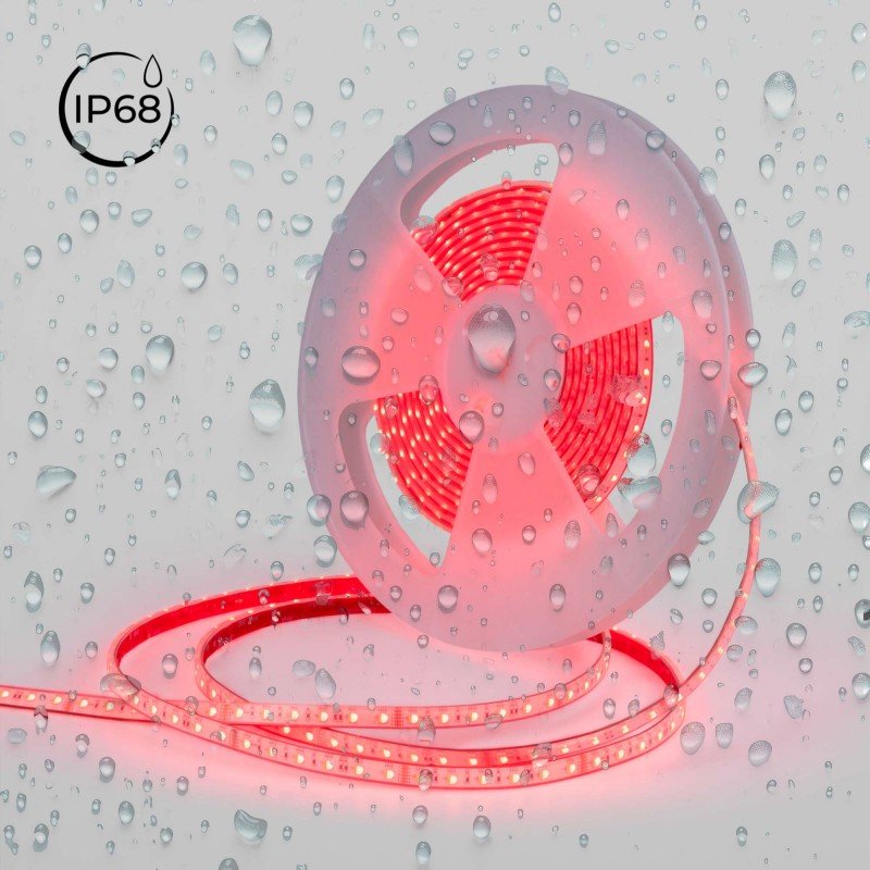 Ruban LED RGBW Submersible 24V – 14,4W Ultra – IP68 Piscine 4 Ruban LED RGBW Submersible 24V – 14,4W Ultra – IP68 Piscine – Image 4