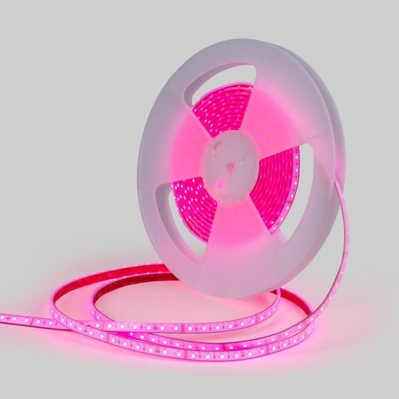 Ruban LED RGBW Submersible 24V – 14,4W Ultra – IP68 Piscine 7 Ruban LED RGBW Submersible 24V – 14,4W Ultra – IP68 Piscine – Image 7