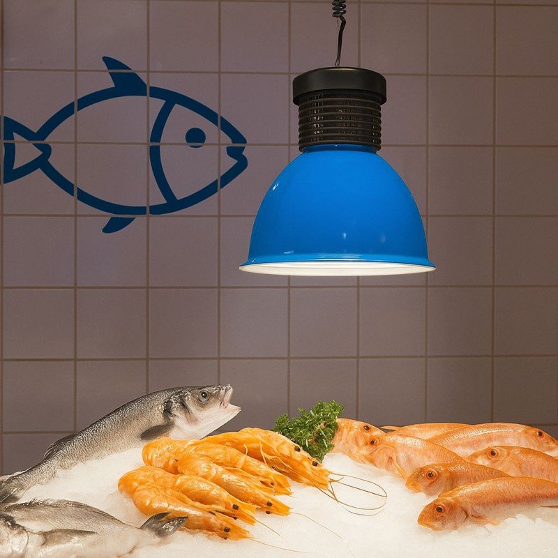 Cloche LED poissonnerie 30W – Éclairage Professionnel étal 2 Cloche LED poissonnerie 30W – Éclairage Professionnel étal – Image 2