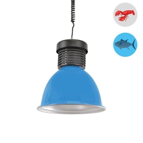 Cloche LED poissonnerie 30W – Éclairage Professionnel étal