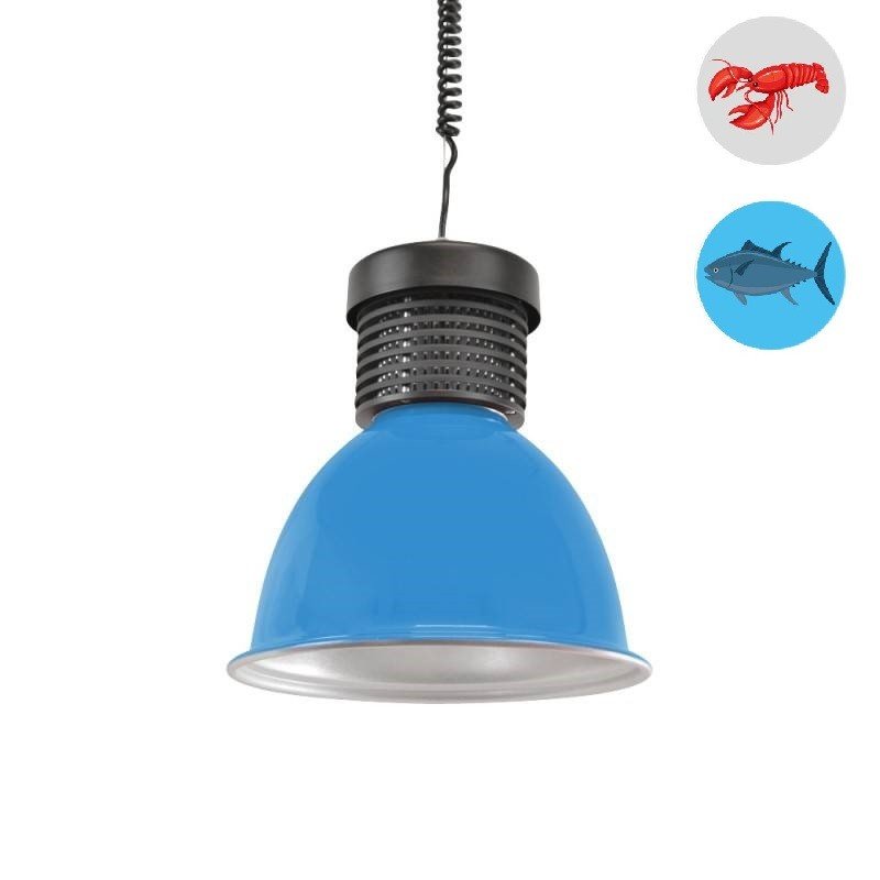 Cloche LED poissonnerie 30W – Éclairage Professionnel étal 1 Cloche LED poissonnerie 30W – Éclairage Professionnel étal